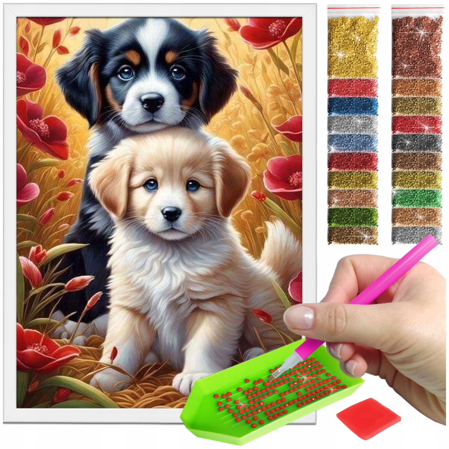 Zestaw: Diamond painting 30x40 (DP376) + biała ramka