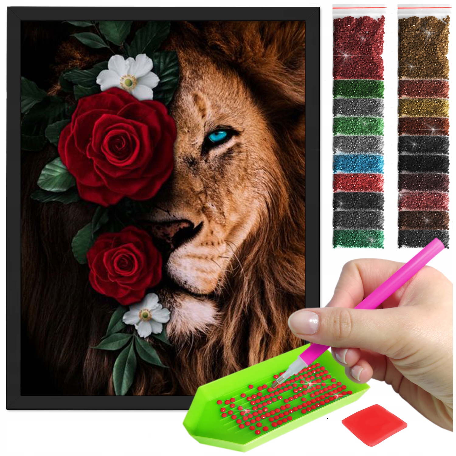 Zestaw: Diamond painting 30x40 (DP328) + czarna ramka