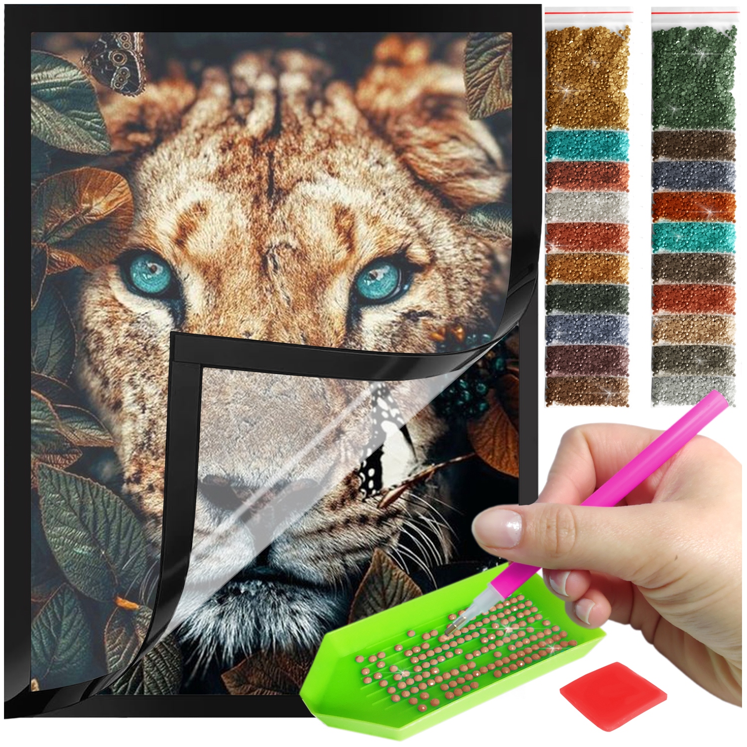 Zestaw: Diamond painting 30x40 (DP045)+ magnetyczna ramka