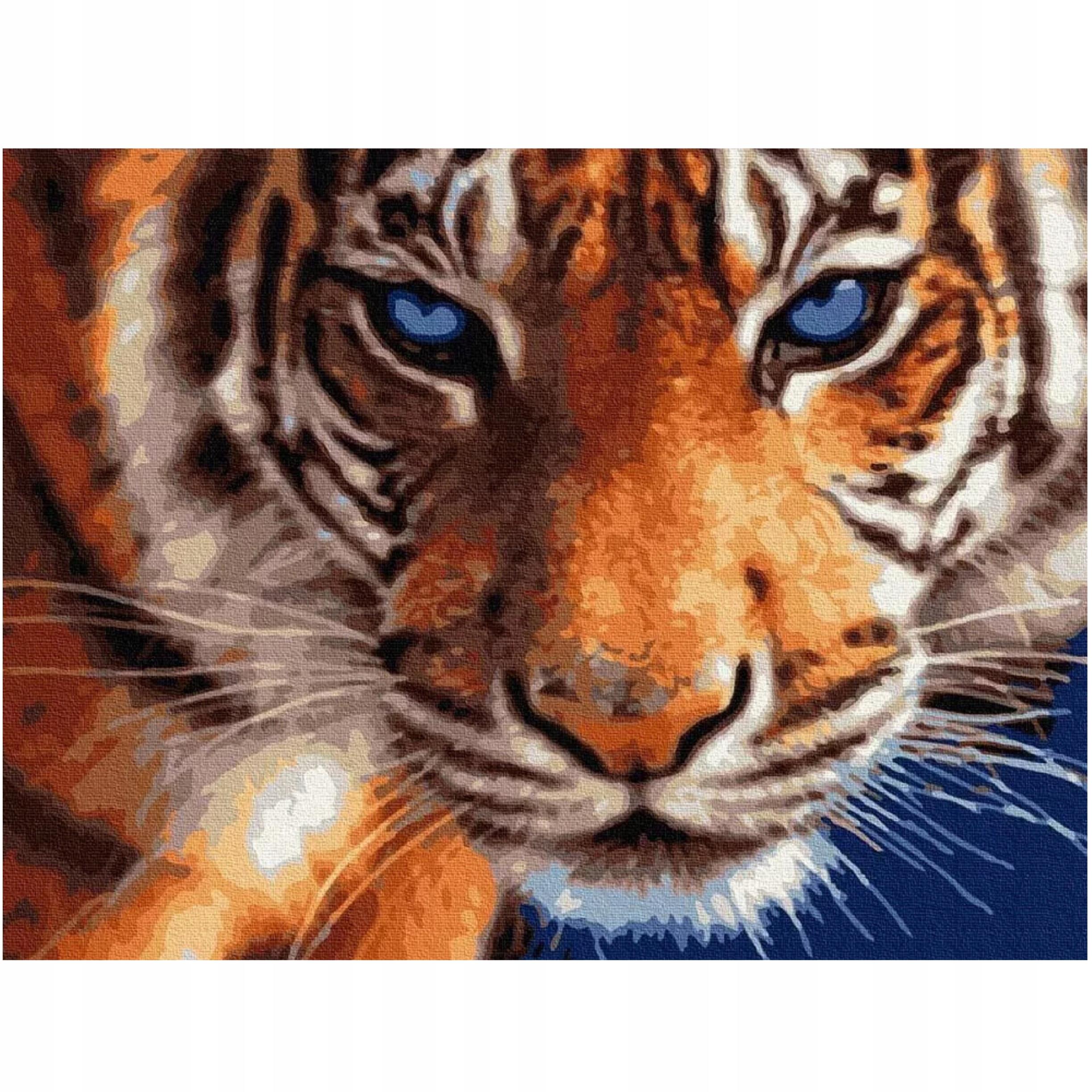 Diamond painting 30x40 (NO. DP331)