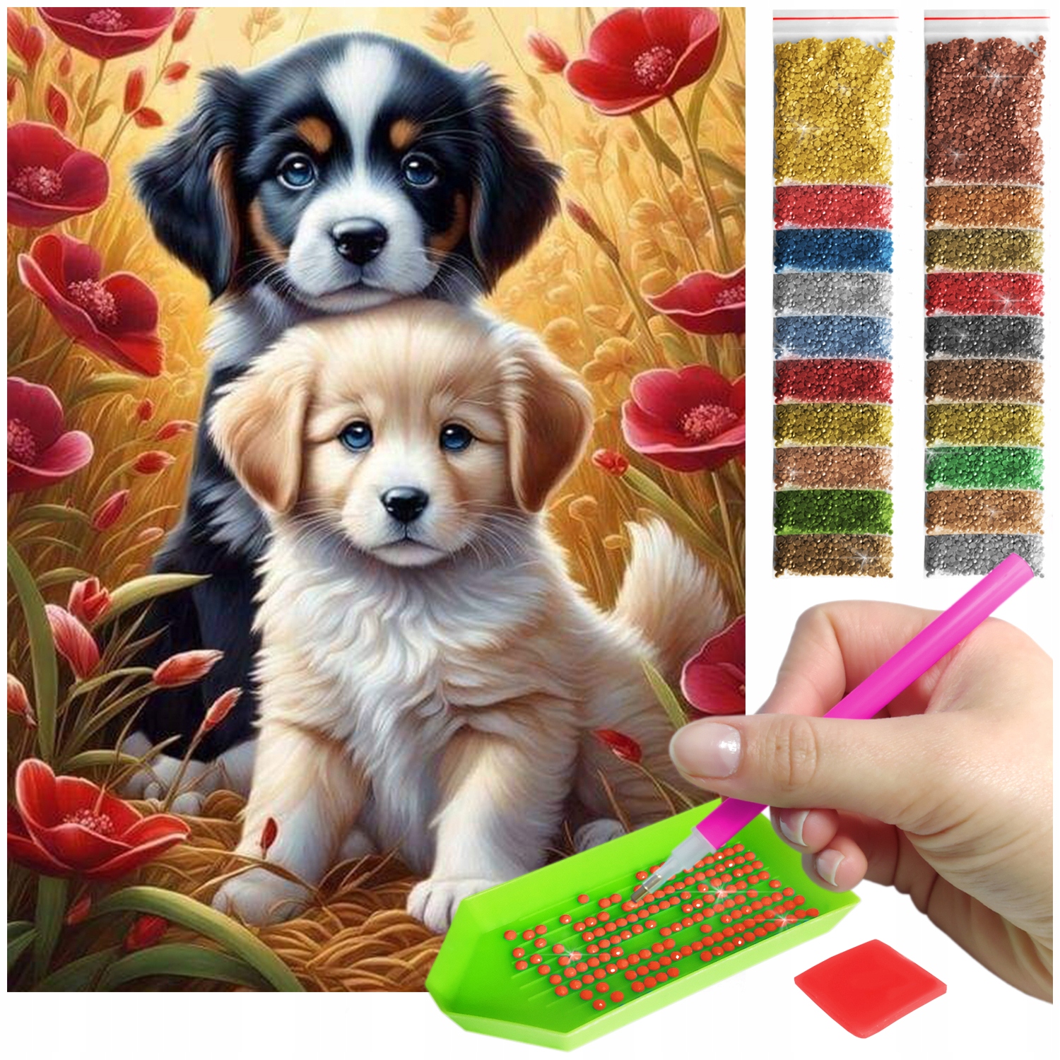 Diamond painting 30x40 (NO. DP376)