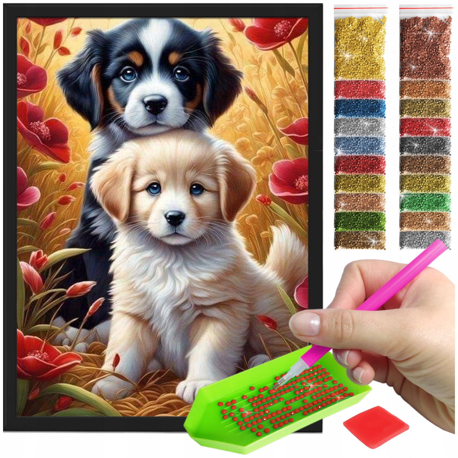 Zestaw: Diamond painting 30x40 (DP376) + czarna ramka