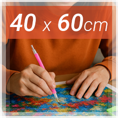 40x60